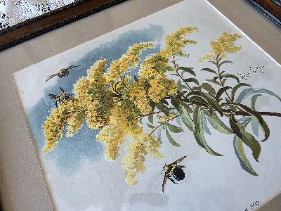 Paul de Longpre Goldenrod and bees original antique print
