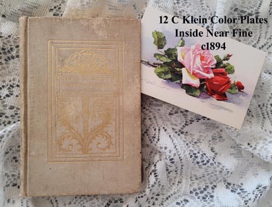 c1892 antique Language of Flowers book C Klein 12 color plates