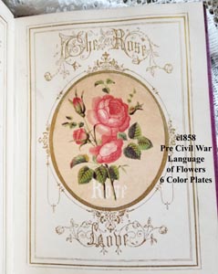 c1858 Language of Flowers pre Civil War antique book