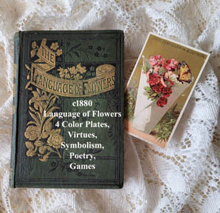 c1880 antique Language of Flowers Book