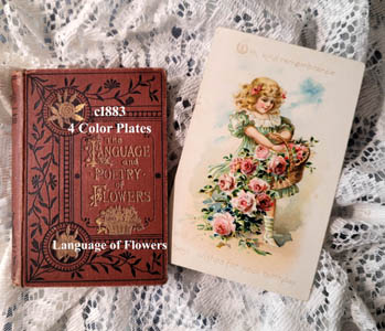 c1883l Language of Flowers Antique Book