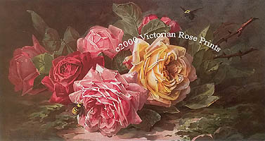 Paul de longpre summer roses print