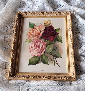 Marie Low antique roses print vintage frame