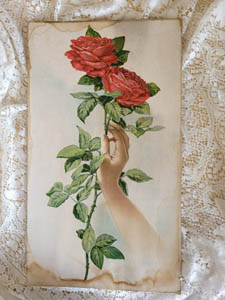 Paul de Lonpgre antique roses print Kalamazoo Corset chromolithograph