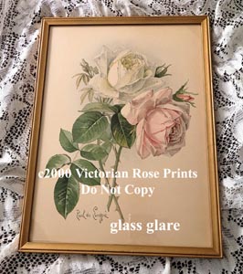 Paul de Longpre original antique roses print