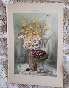 Paul de Longpre antique original chromolithograph Springtime Beauties print