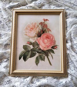Paul de Longpre pink and bride vintage roses print