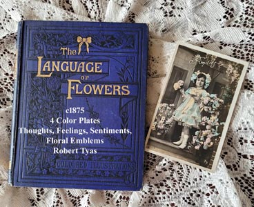 c1875 Language of Flowers antique book illustrated pre Civil War