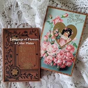 c1886 Language of Flowers Antique Book