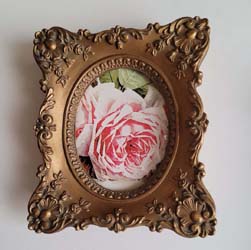 Paul de Longpre La France Roses pair of prints convex bubble glass frames